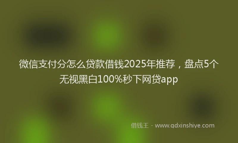微信支付分怎么贷款借钱2025年推荐，盘点5个无视黑白100%秒下网贷app