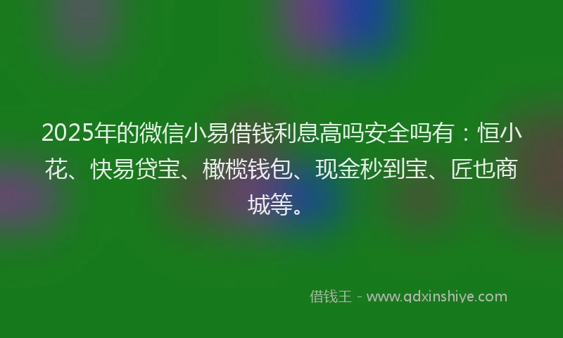 2025年的微信小易借钱利息高吗安全吗有：恒小花、快易贷宝、橄榄钱包、现金秒到宝、匠也商城等。