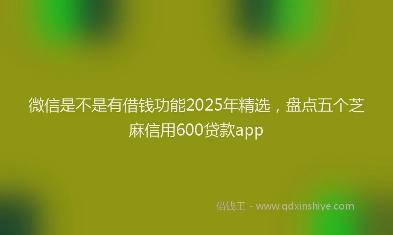 微信是不是有借钱功能2025年精选，盘点五个芝麻信用600贷款app