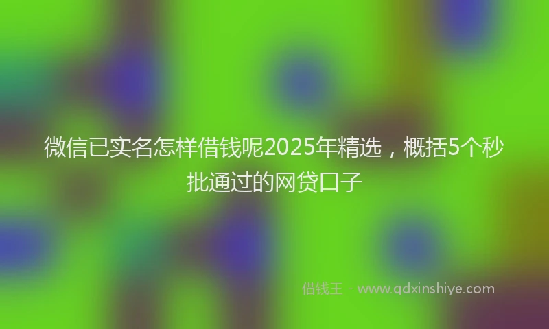 微信已实名怎样借钱呢2025年精选，概括5个秒批通过的网贷口子