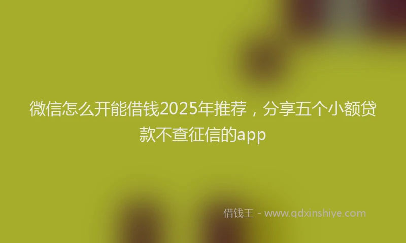 微信怎么开能借钱2025年推荐，分享五个小额贷款不查征信的app