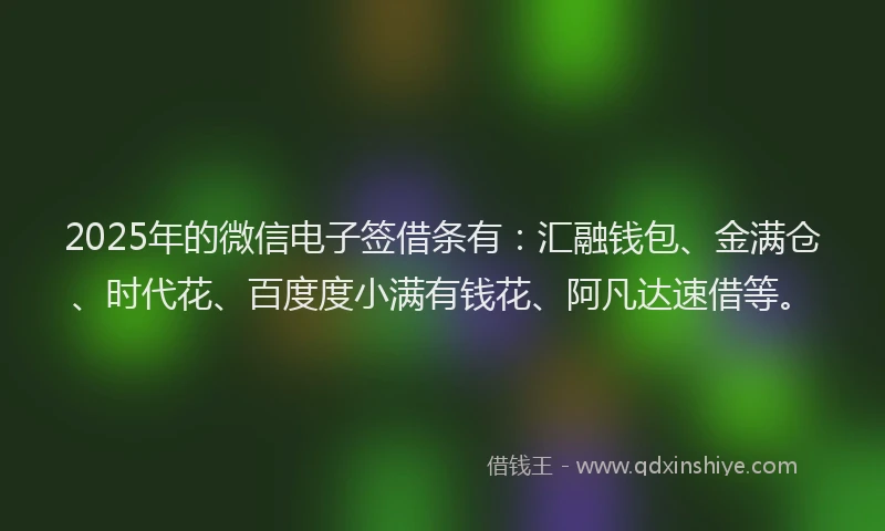 2025年的微信电子签借条有：汇融钱包、金满仓、时代花、百度度小满有钱花、阿凡达速借等。