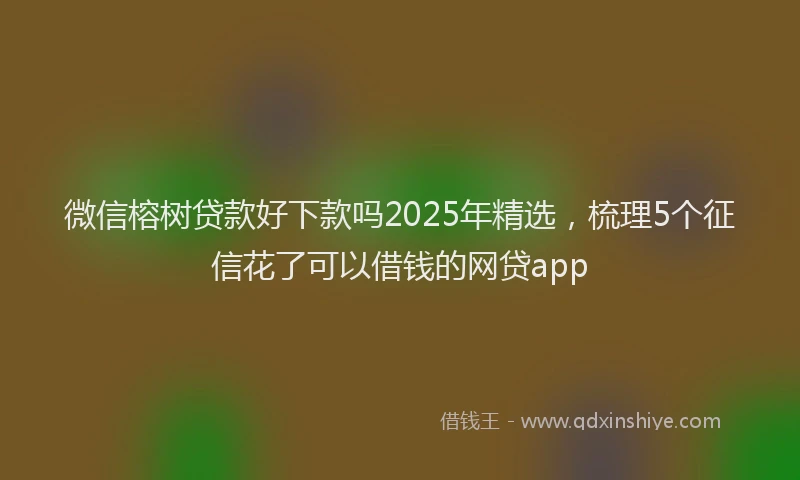 微信榕树贷款好下款吗2025年精选，梳理5个征信花了可以借钱的网贷app