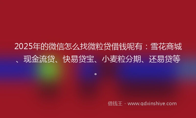 2025年的微信怎么找微粒贷借钱呢有：雪花商城、现金流贷、快易贷宝、小麦粒分期、还易贷等。