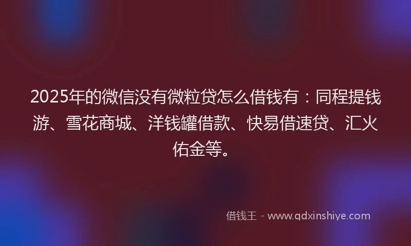 2025年的微信没有微粒贷怎么借钱有：同程提钱游、雪花商城、洋钱罐借款、快易借速贷、汇火佑金等。