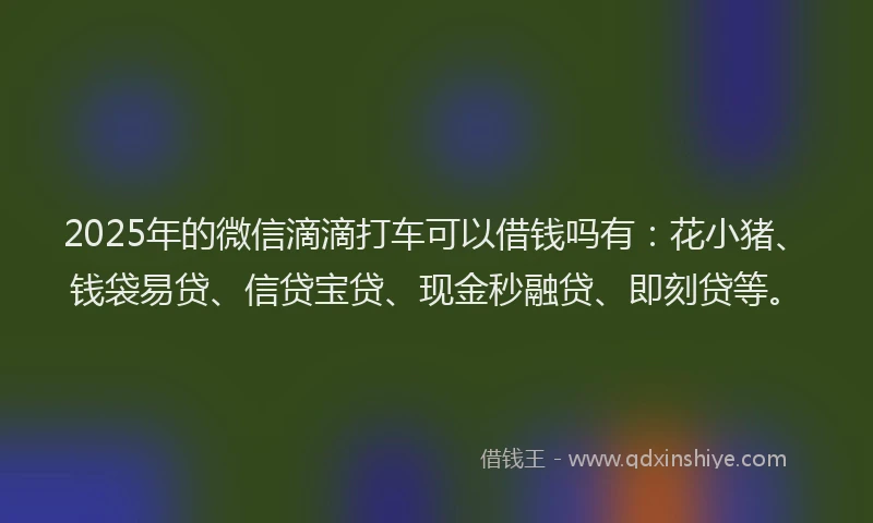 2025年的微信滴滴打车可以借钱吗有：花小猪、钱袋易贷、信贷宝贷、现金秒融贷、即刻贷等。