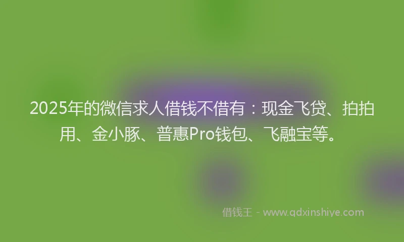 2025年的微信求人借钱不借有：现金飞贷、拍拍用、金小豚、普惠Pro钱包、飞融宝等。