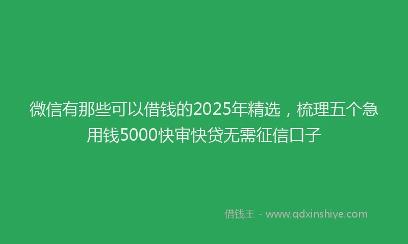微信有那些可以借钱的2025年精选，梳理五个急用钱5000快审快贷无需征信口子