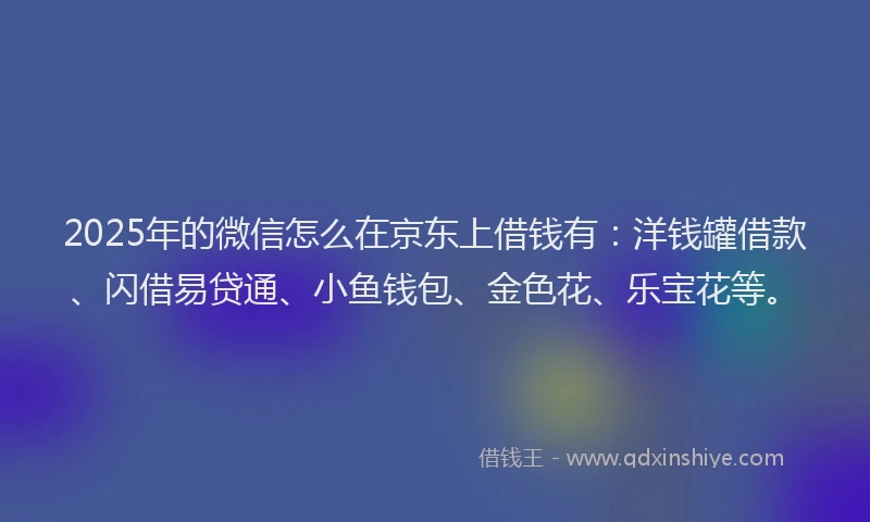 2025年的微信怎么在京东上借钱有：洋钱罐借款、闪借易贷通、小鱼钱包、金色花、乐宝花等。