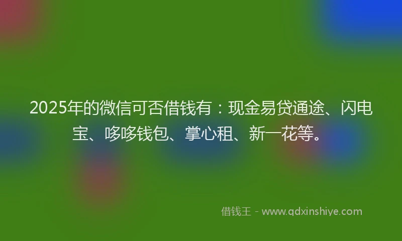2025年的微信可否借钱有：现金易贷通途、闪电宝、哆哆钱包、掌心租、新一花等。