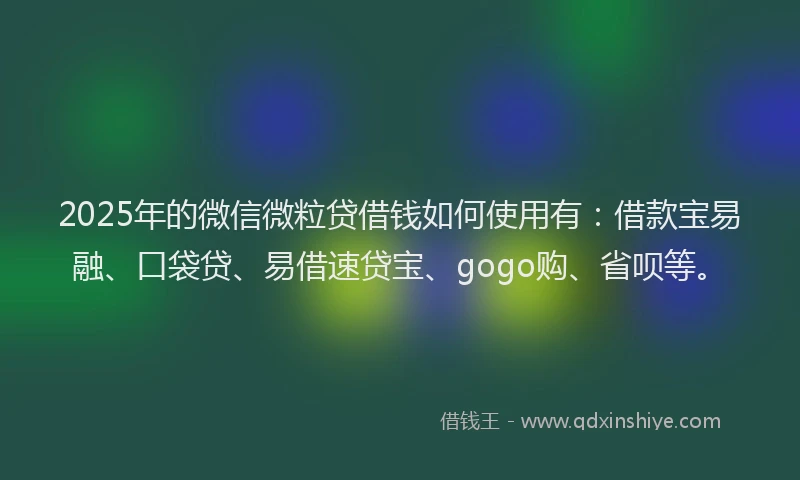 2025年的微信微粒贷借钱如何使用有：借款宝易融、口袋贷、易借速贷宝、gogo购、省呗等。