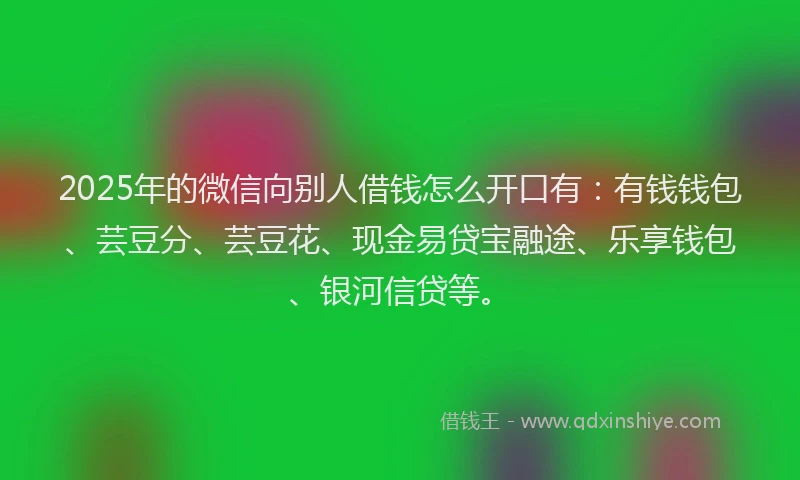 2025年的微信向别人借钱怎么开口有：有钱钱包、芸豆分、芸豆花、现金易贷宝融途、乐享钱包、银河信贷等。