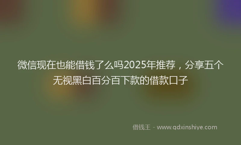 微信现在也能借钱了么吗2025年推荐，分享五个无视黑白百分百下款的借款口子