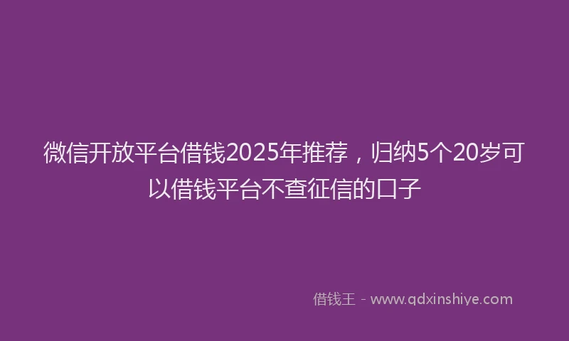 微信开放平台借钱2025年推荐，归纳5个20岁可以借钱平台不查征信的口子