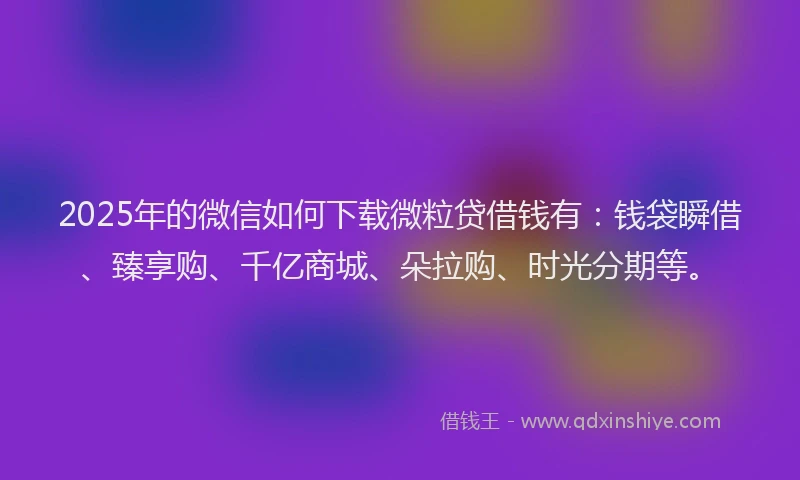 2025年的微信如何下载微粒贷借钱有：钱袋瞬借、臻享购、千亿商城、朵拉购、时光分期等。