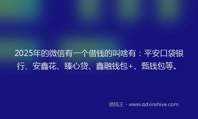 2025年的微信有一个借钱的叫啥有：平安口袋银行、安鑫花、臻心贷、鑫融钱包+、甄钱包等。