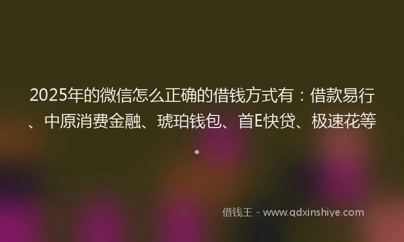 2025年的微信怎么正确的借钱方式有：借款易行、中原消费金融、琥珀钱包、首E快贷、极速花等。