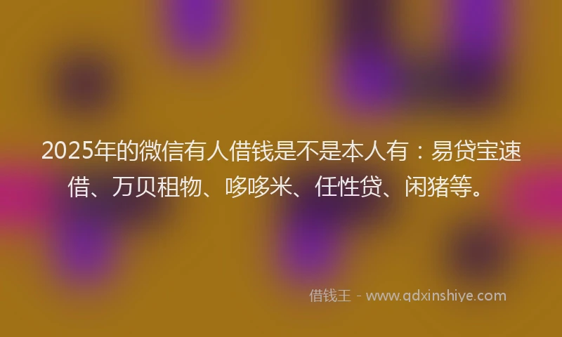 2025年的微信有人借钱是不是本人有：易贷宝速借、万贝租物、哆哆米、任性贷、闲猪等。