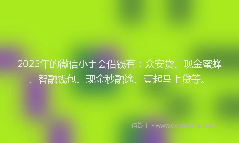 2025年的微信小手会借钱有：众安贷、现金蜜蜂、智融钱包、现金秒融途、壹起马上贷等。