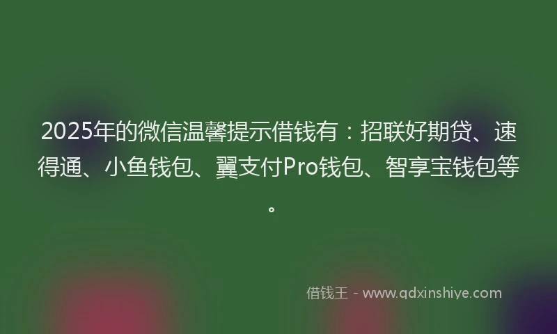 2025年的微信温馨提示借钱有：招联好期贷、速得通、小鱼钱包、翼支付Pro钱包、智享宝钱包等。