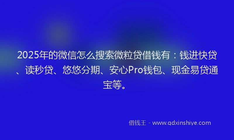 2025年的微信怎么搜索微粒贷借钱有：钱进快贷、读秒贷、悠悠分期、安心Pro钱包、现金易贷通宝等。