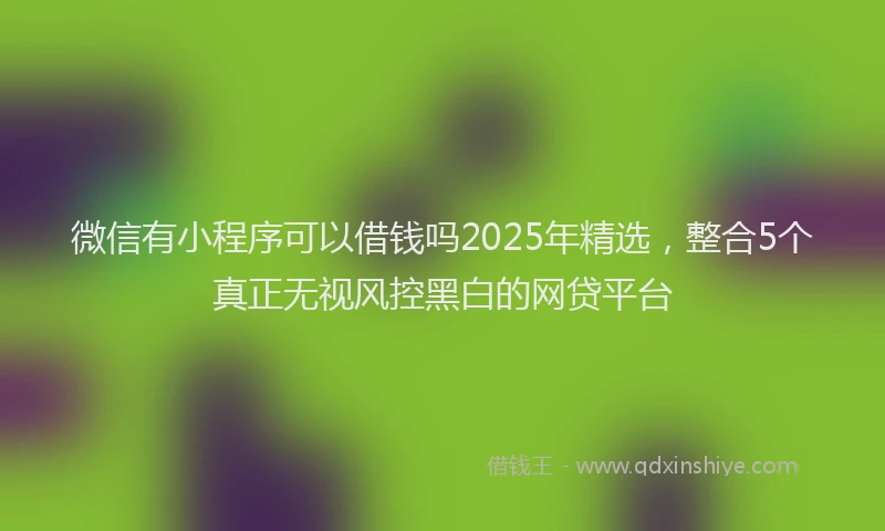 微信有小程序可以借钱吗2025年精选，整合5个真正无视风控黑白的网贷平台