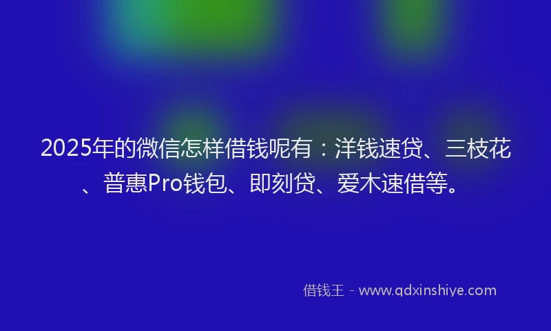 2025年的微信怎样借钱呢有：洋钱速贷、三枝花、普惠Pro钱包、即刻贷、爱木速借等。