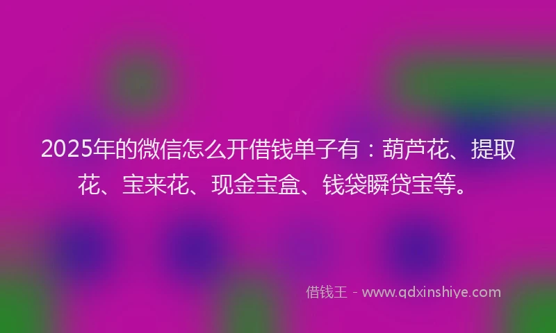 2025年的微信怎么开借钱单子有：葫芦花、提取花、宝来花、现金宝盒、钱袋瞬贷宝等。