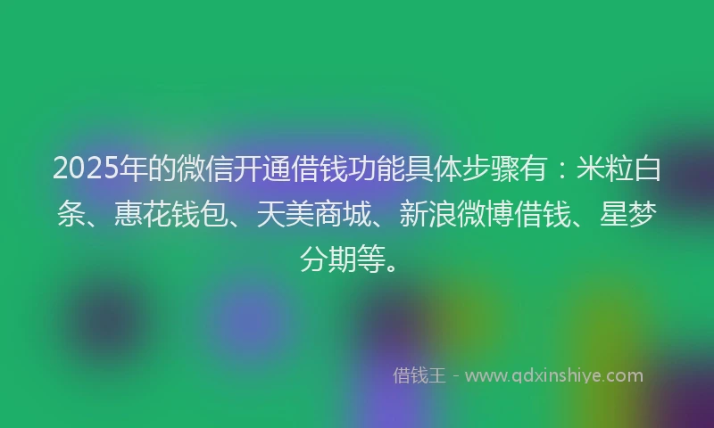 2025年的微信开通借钱功能具体步骤有：米粒白条、惠花钱包、天美商城、新浪微博借钱、星梦分期等。