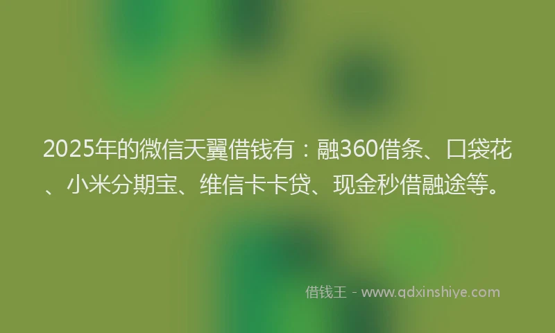 2025年的微信天翼借钱有：融360借条、口袋花、小米分期宝、维信卡卡贷、现金秒借融途等。