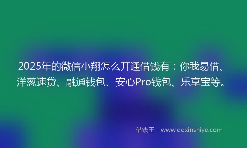 2025年的微信小翔怎么开通借钱有：你我易借、洋葱速贷、融通钱包、安心Pro钱包、乐享宝等。