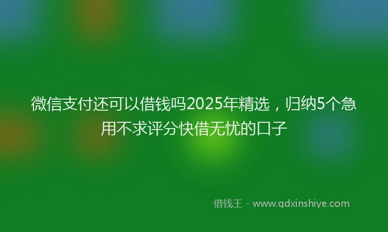 微信支付还可以借钱吗2025年精选，归纳5个急用不求评分快借无忧的口子
