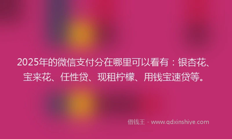 2025年的微信支付分在哪里可以看有：银杏花、宝来花、任性贷、现租柠檬、用钱宝速贷等。