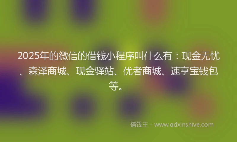 2025年的微信的借钱小程序叫什么有：现金无忧、森泽商城、现金驿站、优者商城、速享宝钱包等。