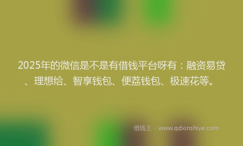 2025年的微信是不是有借钱平台呀有：融资易贷、理想给、智享钱包、便荔钱包、极速花等。