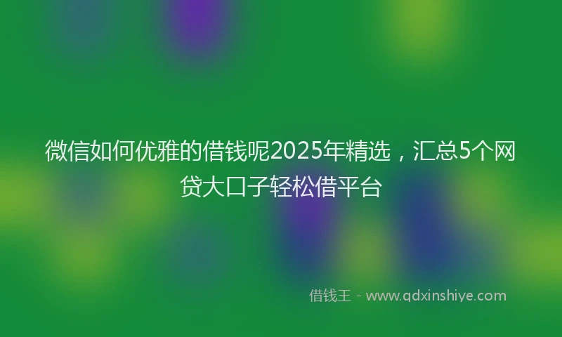 微信如何优雅的借钱呢2025年精选，汇总5个网贷大口子轻松借平台