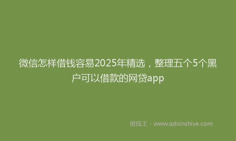 微信怎样借钱容易2025年精选，整理五个5个黑户可以借款的网贷app