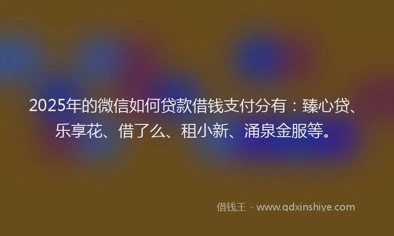 2025年的微信如何贷款借钱支付分有：臻心贷、乐享花、借了么、租小新、涌泉金服等。