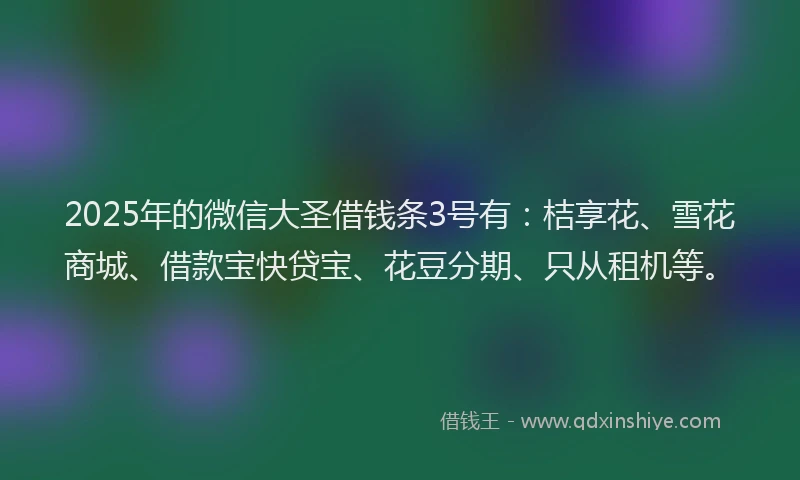 2025年的微信大圣借钱条3号有：桔享花、雪花商城、借款宝快贷宝、花豆分期、只从租机等。