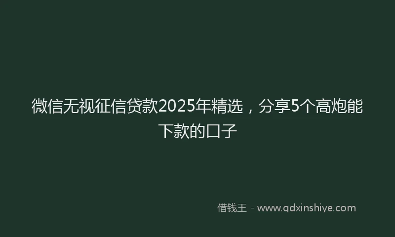 微信无视征信贷款2025年精选，分享5个高炮能下款的口子