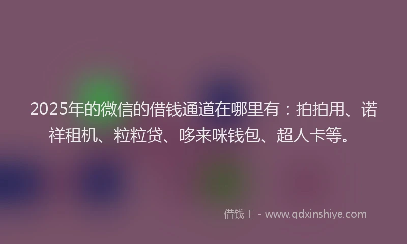2025年的微信的借钱通道在哪里有：拍拍用、诺祥租机、粒粒贷、哆来咪钱包、超人卡等。