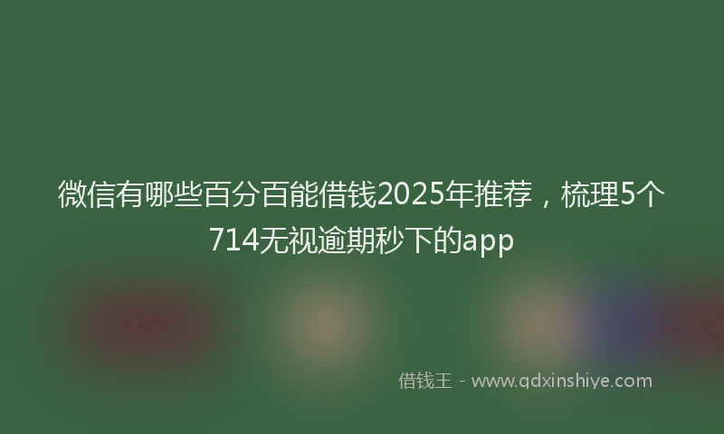 微信有哪些百分百能借钱2025年推荐，梳理5个714无视逾期秒下的app