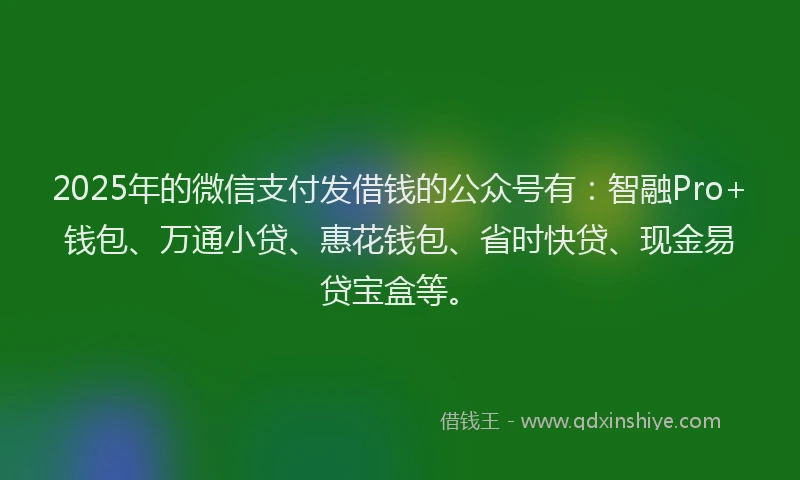 2025年的微信支付发借钱的公众号有：智融Pro+钱包、万通小贷、惠花钱包、省时快贷、现金易贷宝盒等。