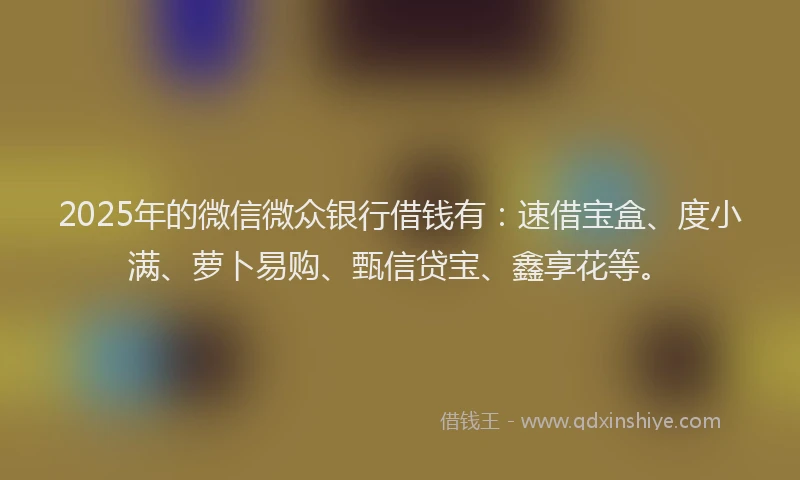 2025年的微信微众银行借钱有：速借宝盒、度小满、萝卜易购、甄信贷宝、鑫享花等。