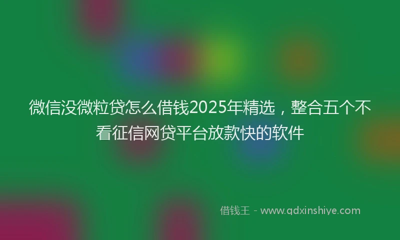 微信没微粒贷怎么借钱2025年精选，整合五个不看征信网贷平台放款快的软件