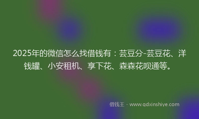 2025年的微信怎么找借钱有：芸豆分-芸豆花、洋钱罐、小安租机、享下花、森森花呗通等。