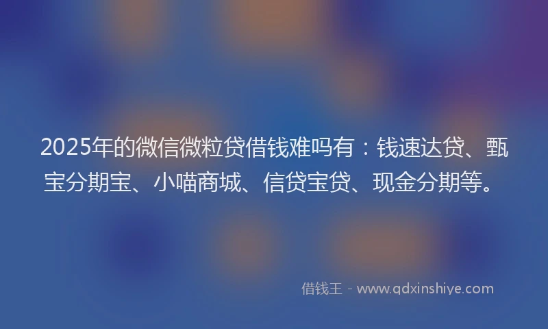 2025年的微信微粒贷借钱难吗有：钱速达贷、甄宝分期宝、小喵商城、信贷宝贷、现金分期等。