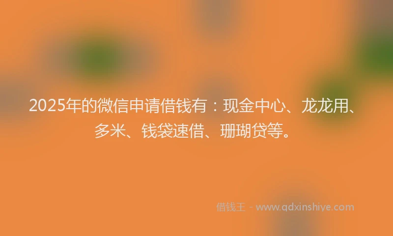 2025年的微信申请借钱有：现金中心、龙龙用、多米、钱袋速借、珊瑚贷等。