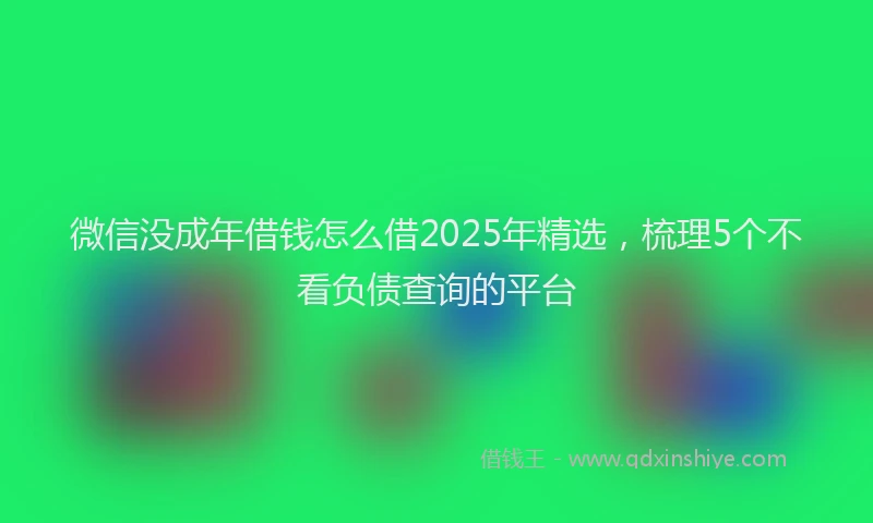 微信没成年借钱怎么借2025年精选，梳理5个不看负债查询的平台