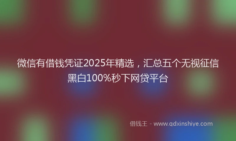 微信有借钱凭证2025年精选，汇总五个无视征信黑白100%秒下网贷平台